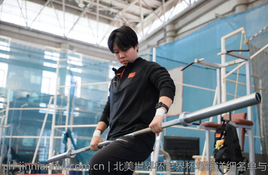 北美世界杯世界杯场馆详细名单与分布分析